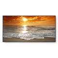 GOLD SUNSET