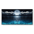 Moon Rise